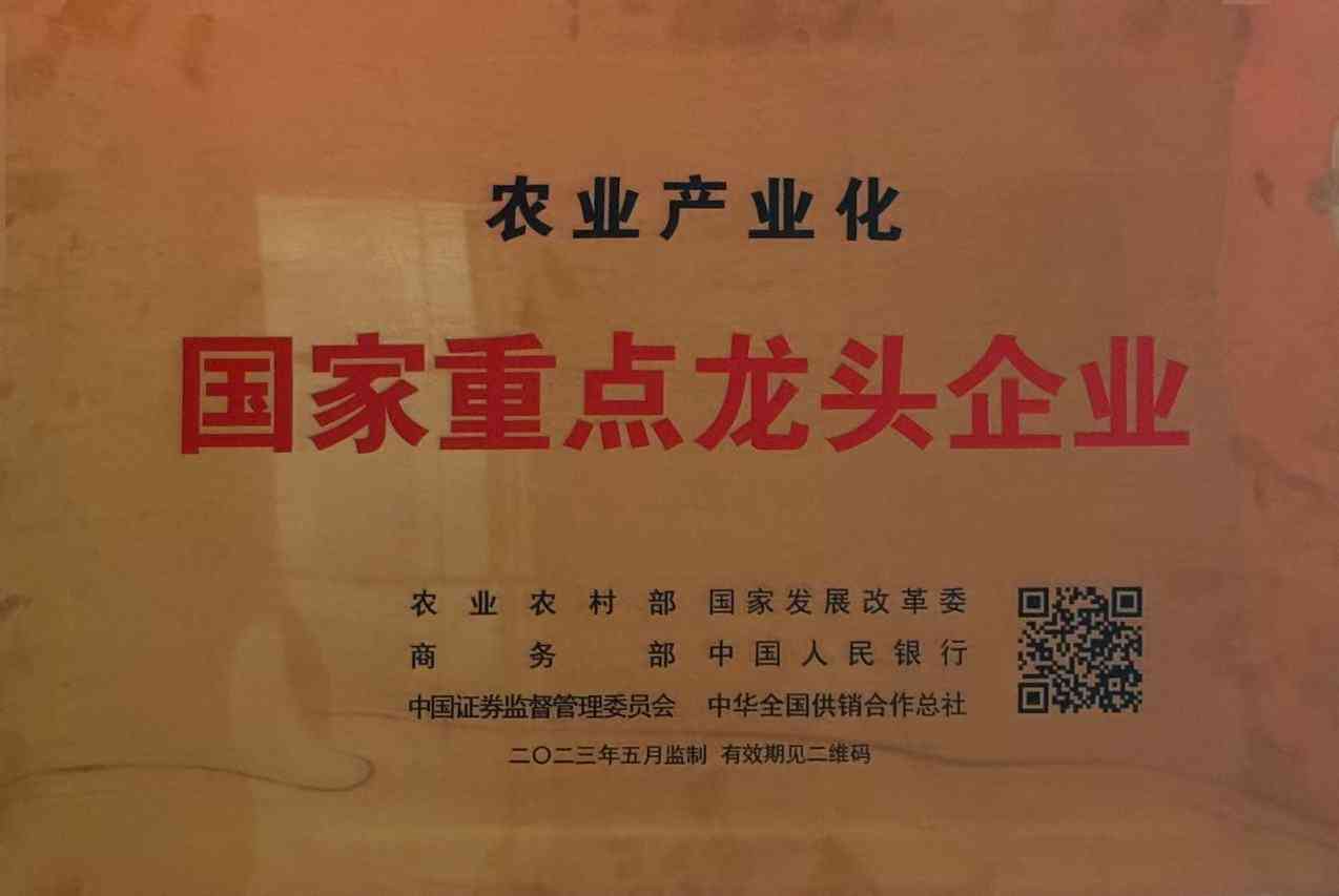 必赢网络游戏平台荣誉简介