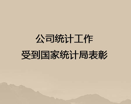 公司统计工作受到国度统计局赞美