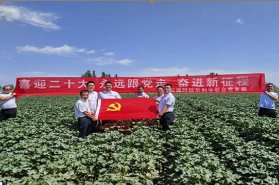 必赢·网络游戏平台-(中国游)有限公司