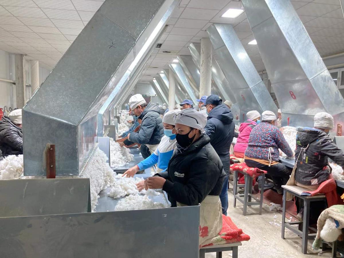 必赢·网络游戏平台-(中国游)有限公司